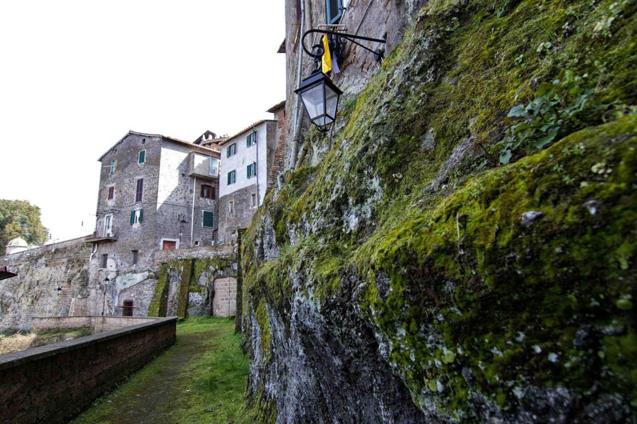 Loft Giuly Daire Vignanello Dış mekan fotoğraf