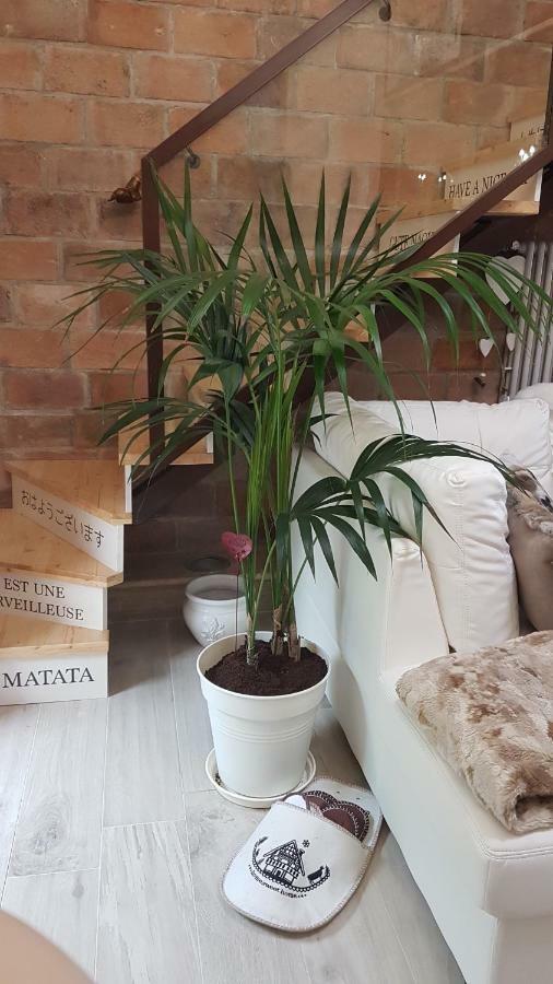 Loft Giuly Daire Vignanello Dış mekan fotoğraf