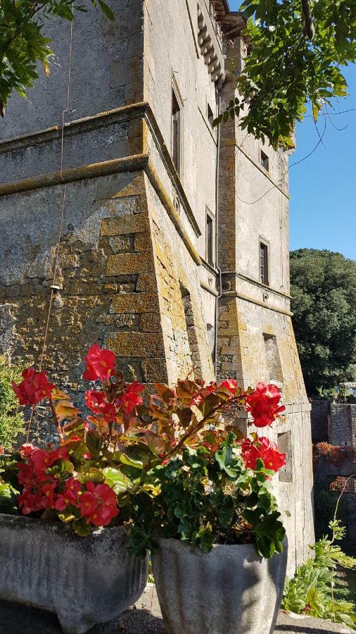 Loft Giuly Daire Vignanello Dış mekan fotoğraf